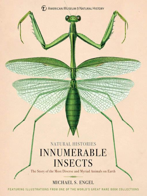 Cover image for Innumerable Insects